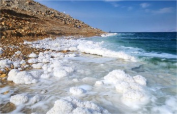 Sale del mar morto e Cloruro di magnesio